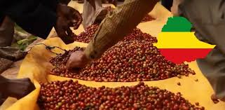 Café Ethiopie MOKA LEKEMPTI