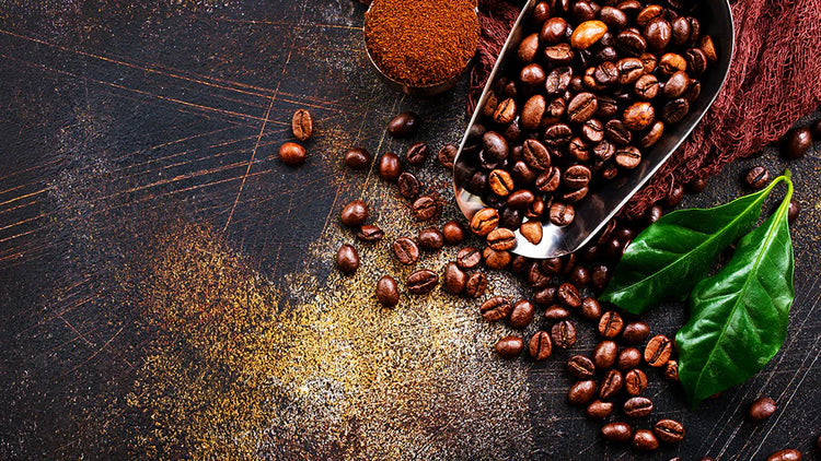 Nos Cafés